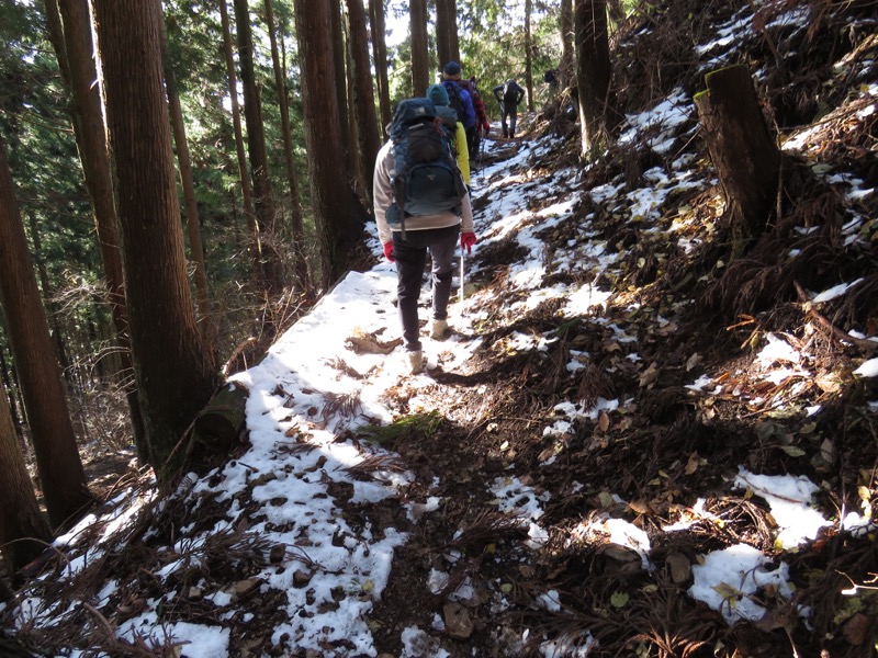 扇山+高尾山登山