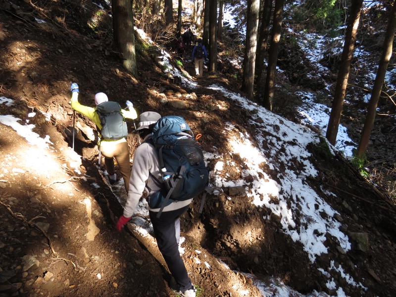 扇山+高尾山登山