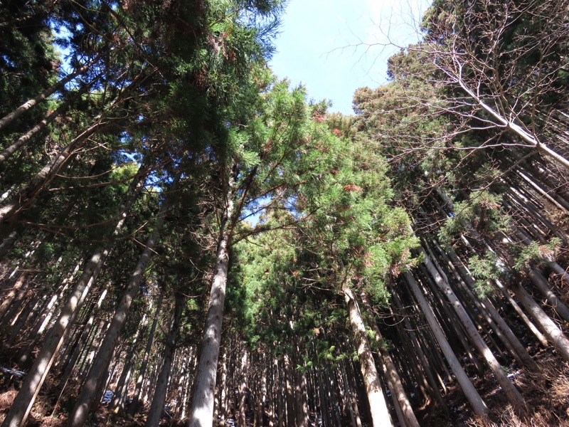 扇山+高尾山登山