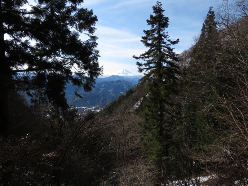 扇山+高尾山登山
