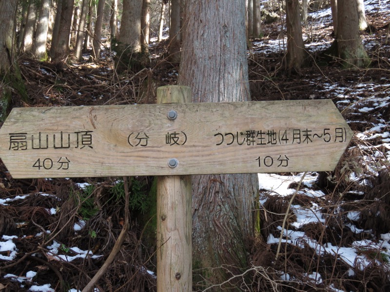 扇山+高尾山登山