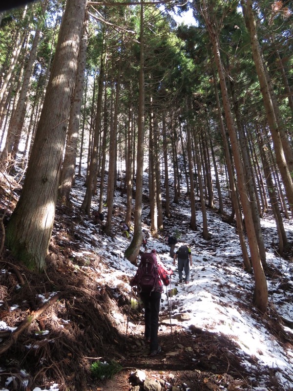 扇山+高尾山登山
