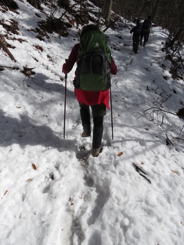扇山+高尾山登山
