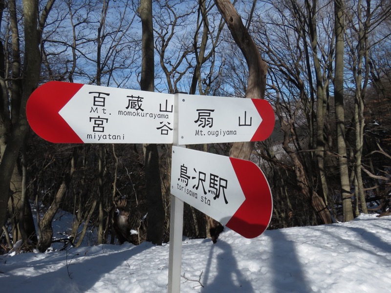 扇山+高尾山登山