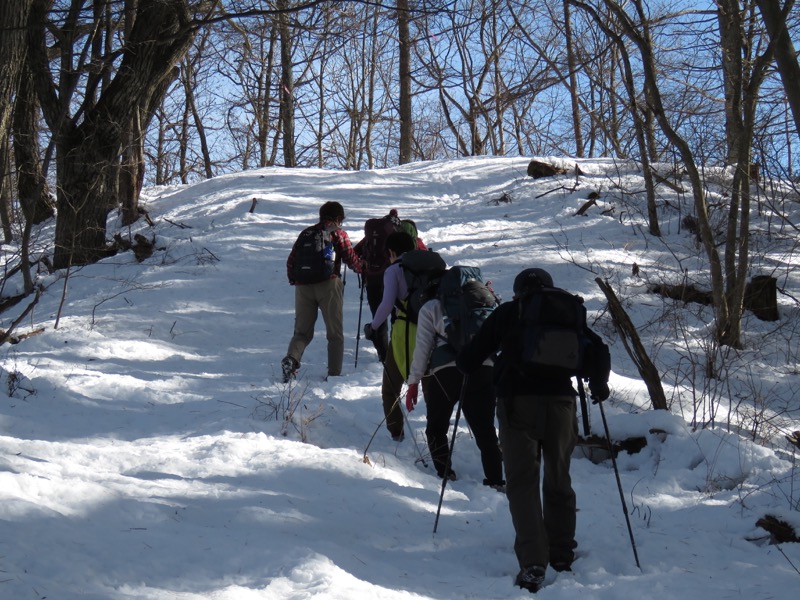 扇山+高尾山登山