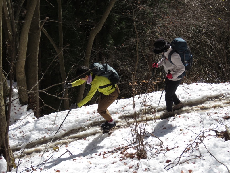 扇山+高尾山登山