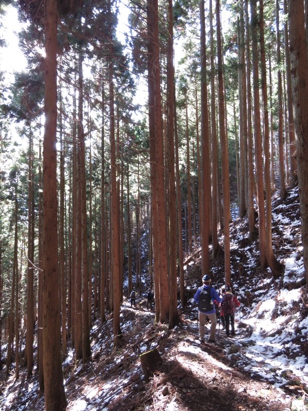 扇山+高尾山登山
