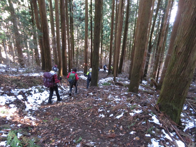 扇山+高尾山登山