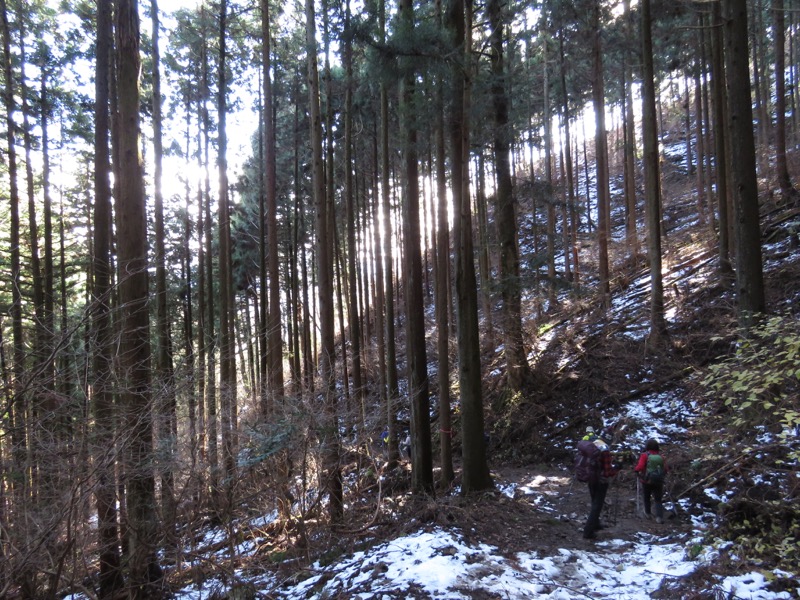 扇山+高尾山登山
