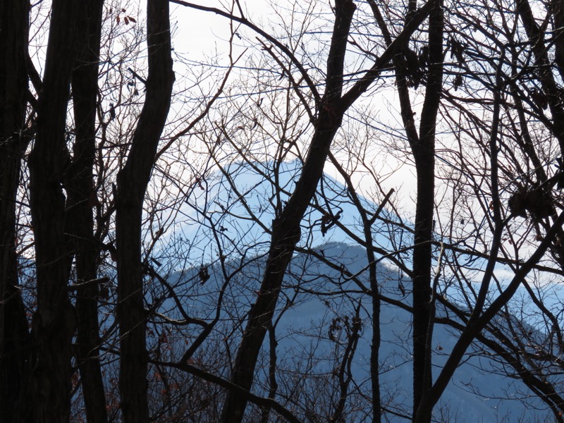 扇山+高尾山登山