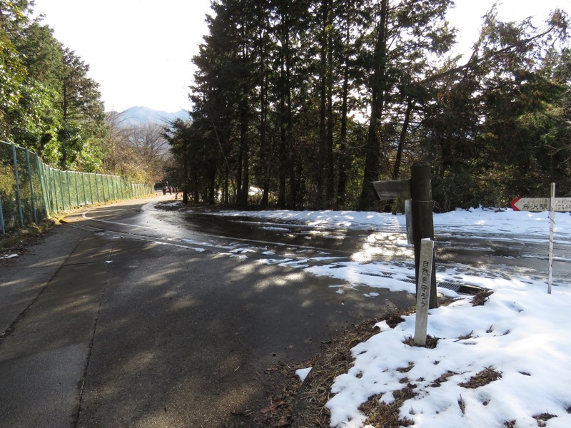 扇山+高尾山登山