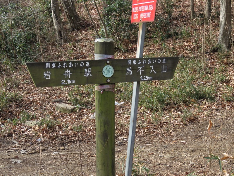 太平山、馬不入山、晃石山、太平山