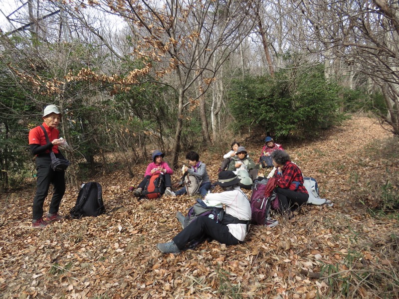 太平山、馬不入山、晃石山、太平山