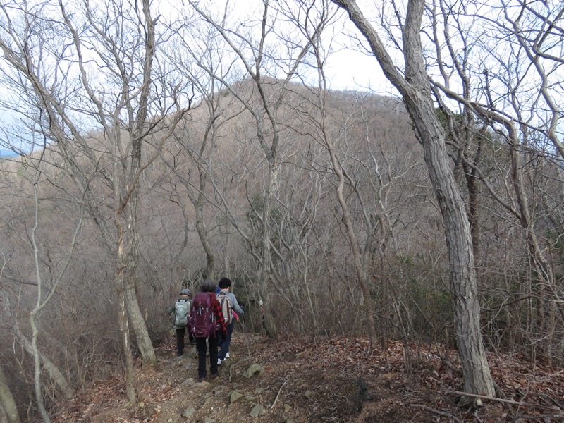 太平山、馬不入山、晃石山、太平山