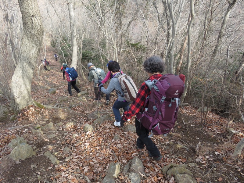 太平山、馬不入山、晃石山、太平山