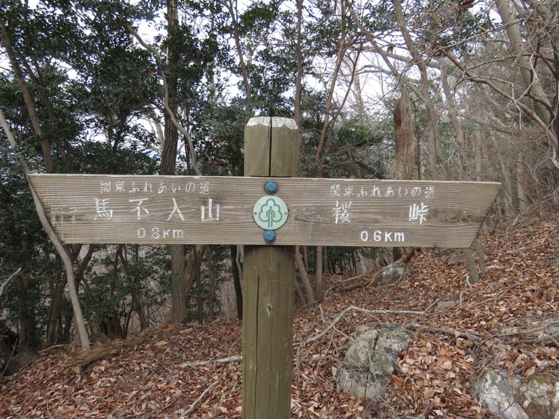 太平山、馬不入山、晃石山、太平山
