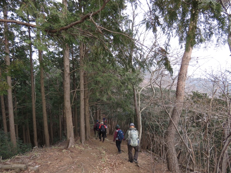 太平山、馬不入山、晃石山、太平山