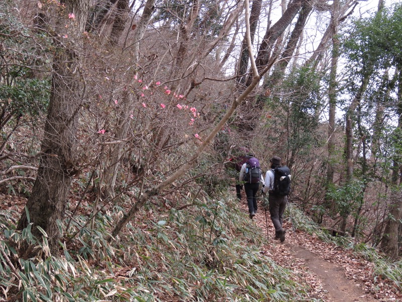 太平山、馬不入山、晃石山、太平山