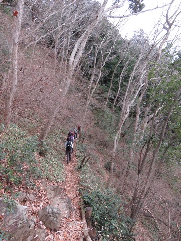 太平山、馬不入山、晃石山、太平山