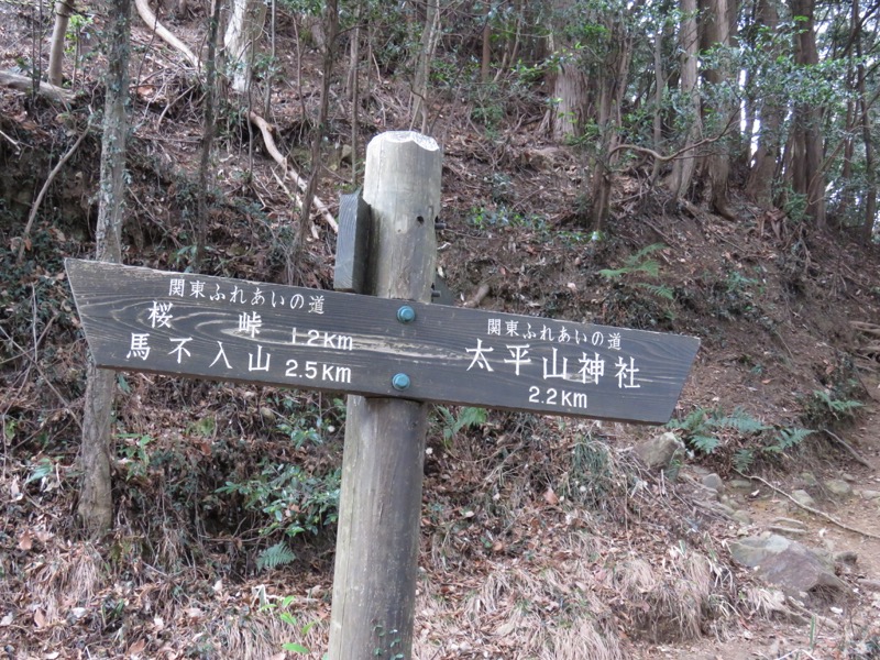 太平山、馬不入山、晃石山、太平山