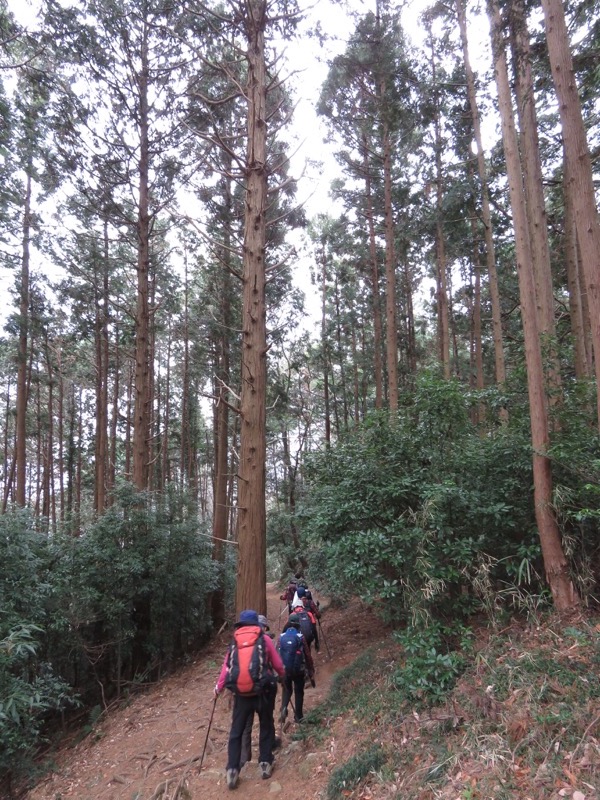太平山、馬不入山、晃石山、太平山