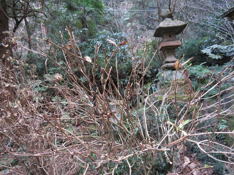 太平山、馬不入山、晃石山、太平山