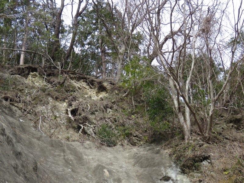 高宕山、三島神社→高宕山、怒田沢林道、高宕林道