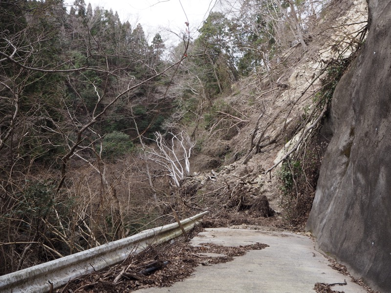 高宕山、三島神社→高宕山、高宕林道