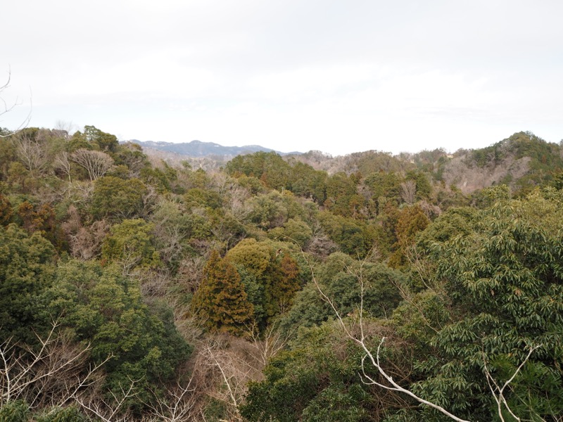 高宕山、高宕大滝→高宕山