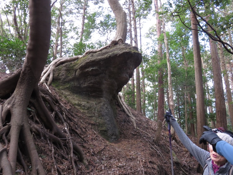 高宕山、高宕大滝→高宕山、蛙石