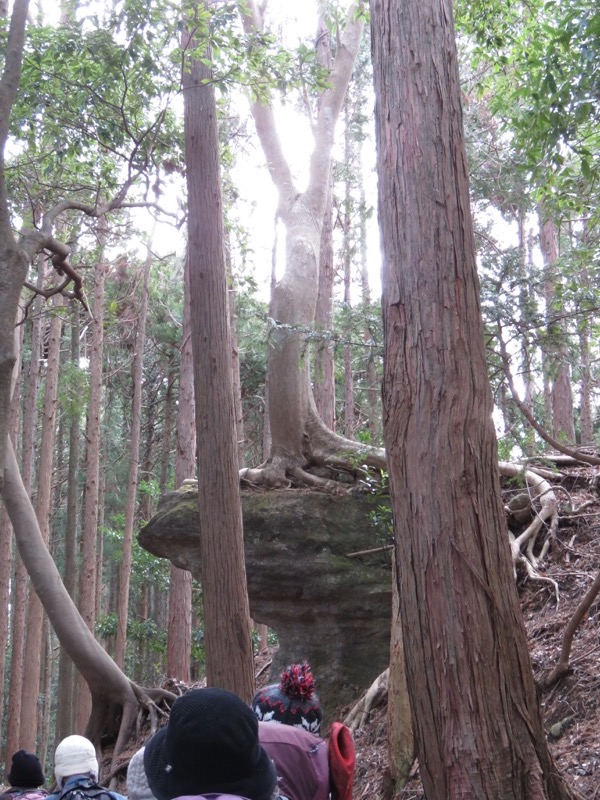 高宕山、高宕大滝→高宕山、蛙石