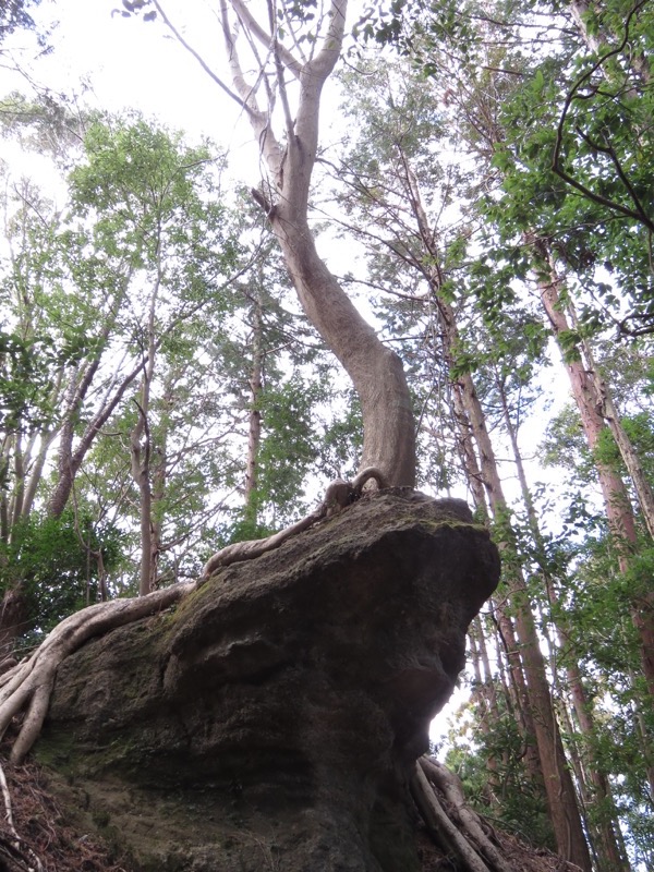 高宕山、高宕大滝→高宕山、蛙石