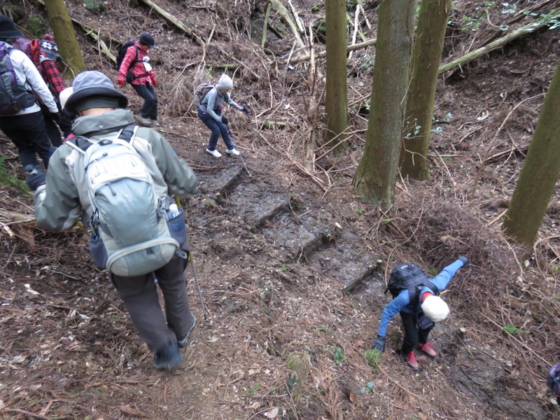 高宕山、高宕大滝→高宕山、人工林