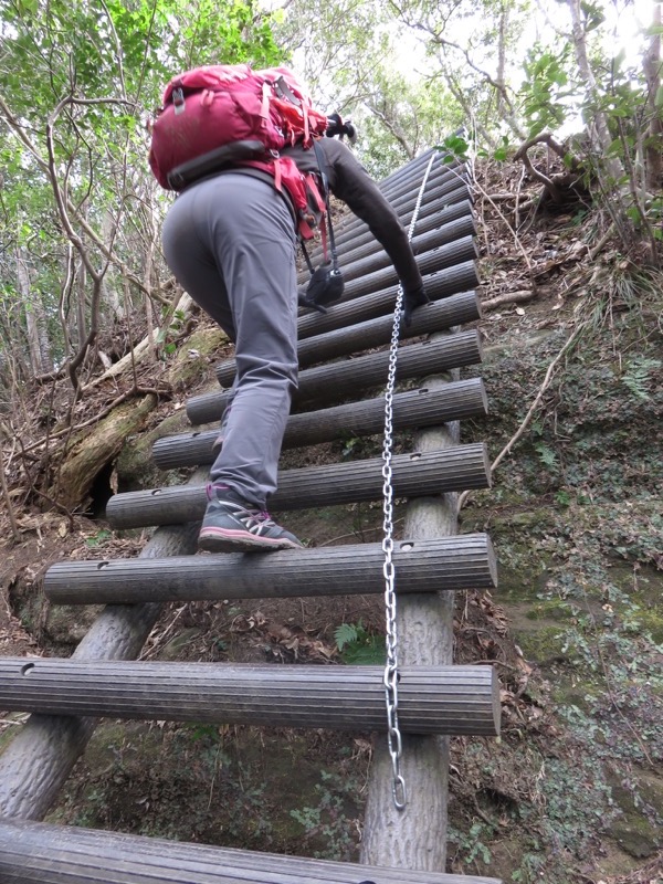 高宕山、山頂下分岐→高宕山