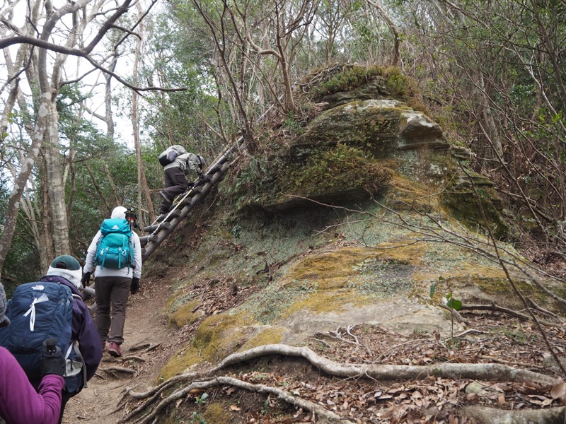 高宕山、山頂下分岐→高宕山、階段