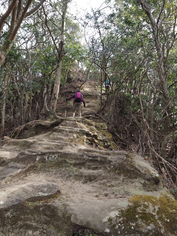 高宕山、山頂下分岐→高宕山、階段