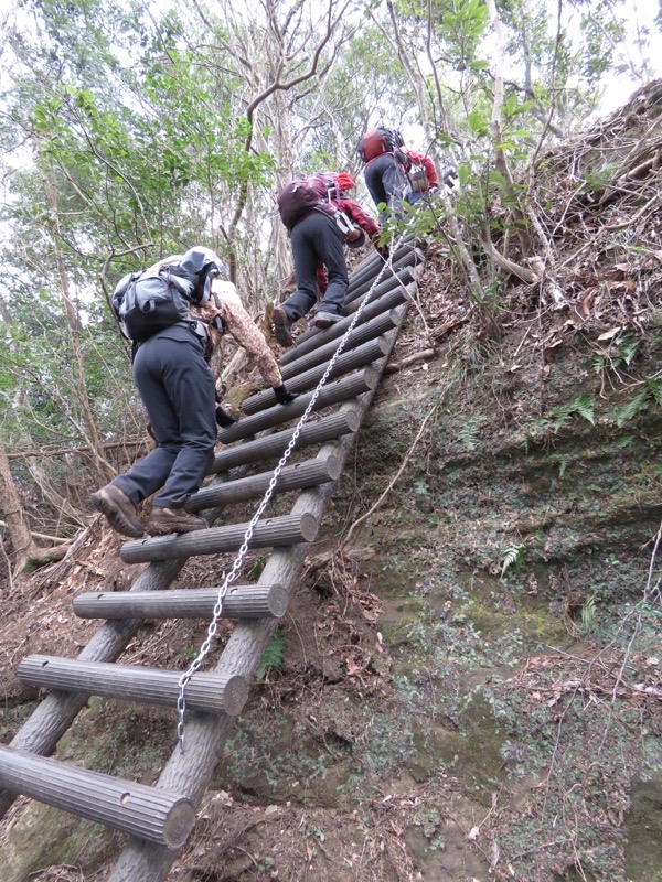 高宕山、山頂下分岐→高宕山、ハシゴ