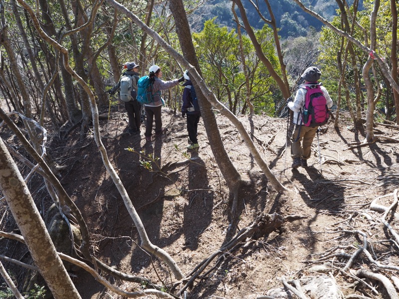 高宕山、高宕山→奥畑バス停、山頂直下