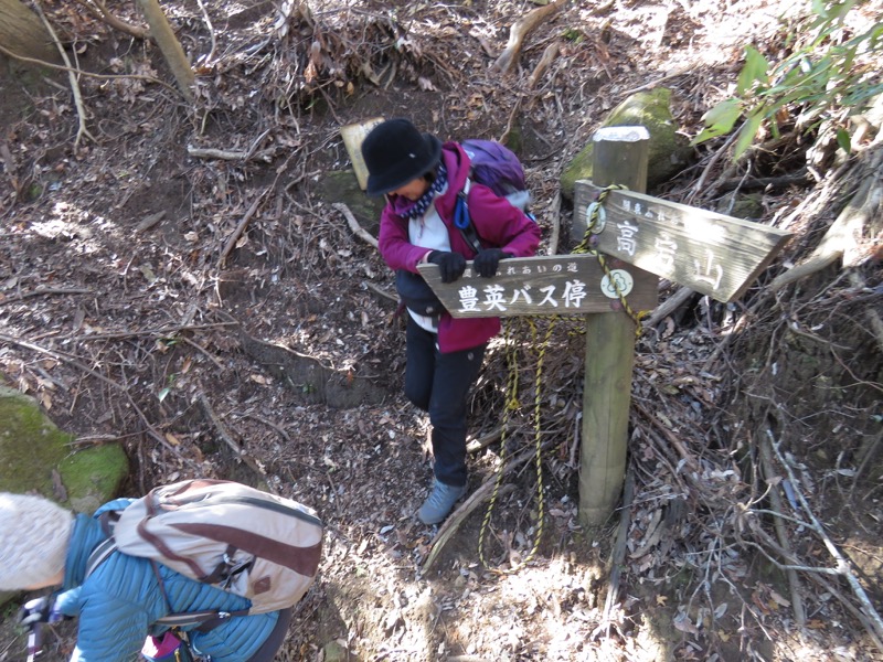 高宕山、高宕山→奥畑バス停、山頂直下