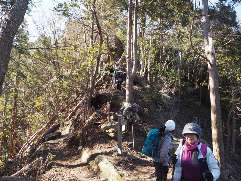 高宕山、高宕山→奥畑バス停、倒木