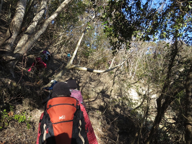 高宕山、高宕山→奥畑バス停、倒木