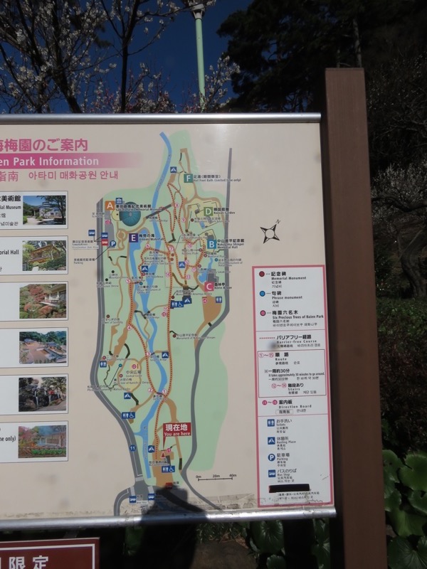 十国峠（日金山）