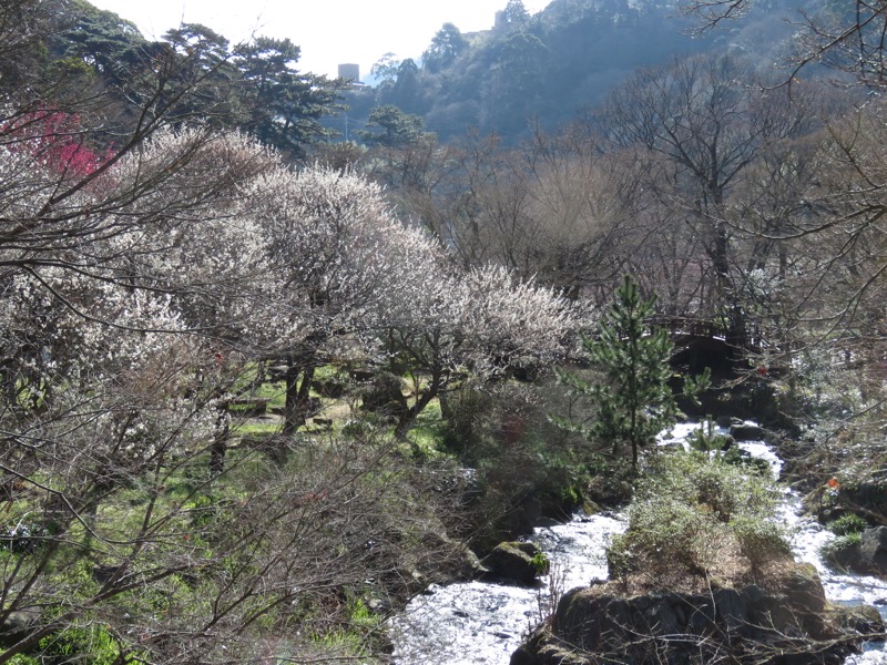 十国峠（日金山）