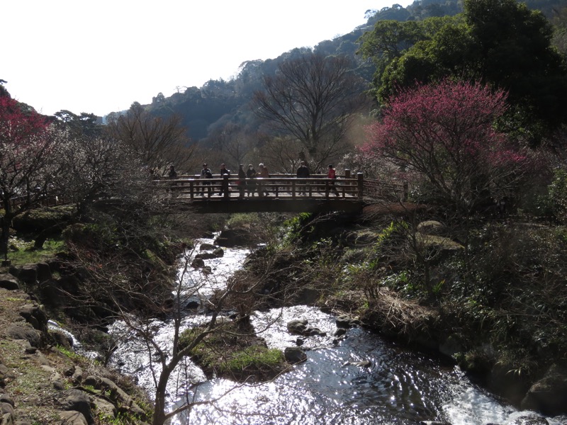 十国峠（日金山）