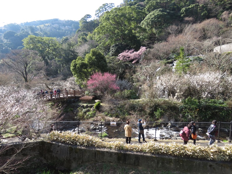 十国峠（日金山）