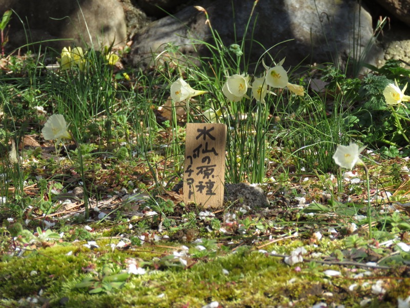十国峠（日金山）