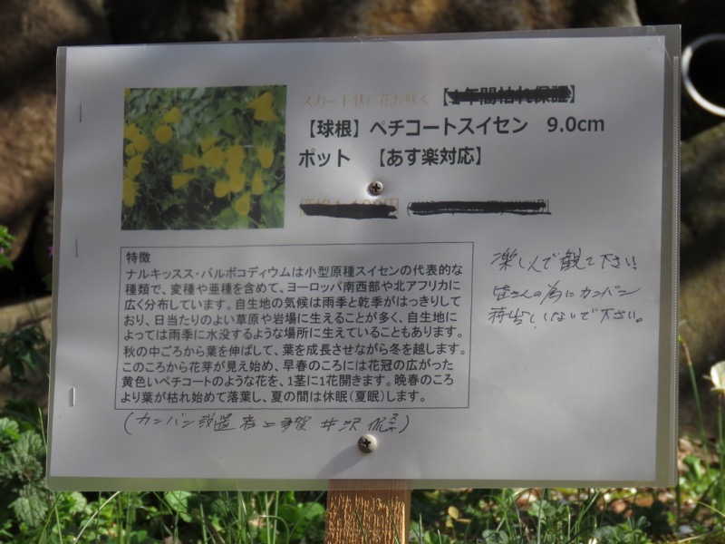 十国峠（日金山）