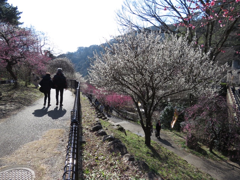十国峠（日金山）