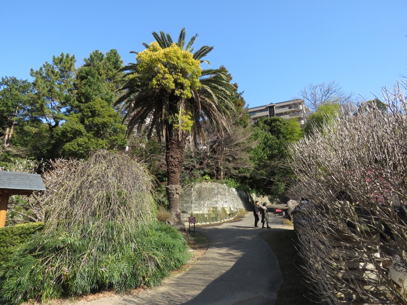 十国峠（日金山）