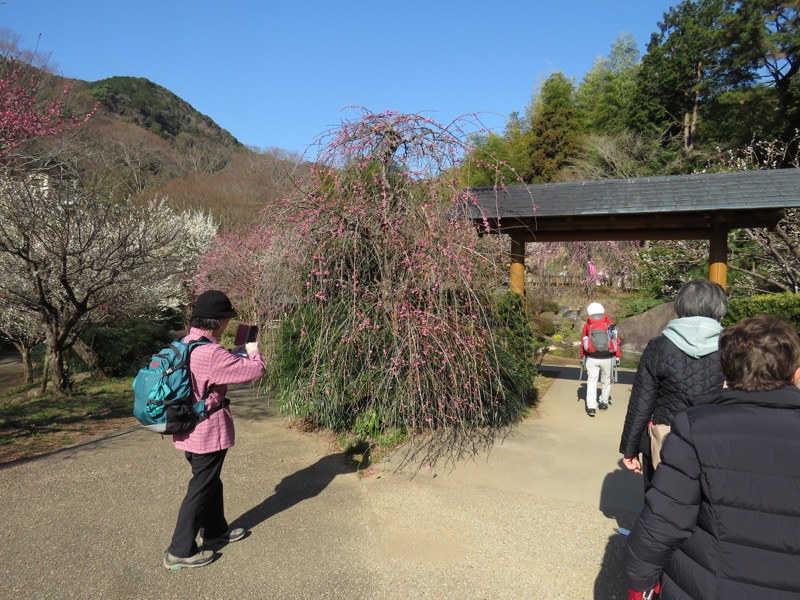 十国峠（日金山）